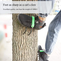 Outil d'escalade d'arbres, pointes d'escalade en acier pour chaussures de chasse, pour la cueillette et l'observation des fruits