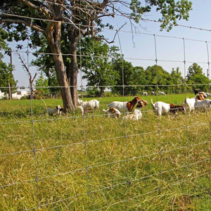 Factory Direct Sale Yuking Brand Galvanized Low Carbon Steel <b>Wire</b> Crimped Square <b>Mesh</b> Cattle Fence for Livestocks 2.0-3.0mm - Product Image 3