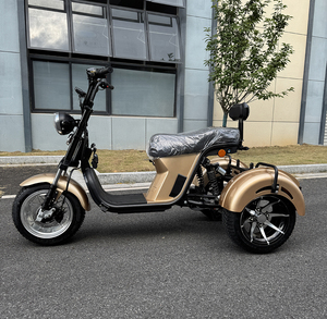 Nouveau modèle de scooter électrique Citycoco à 3 roues, Citycoco 3000w, scooter électrique à pneus larges Citycoco 4000w, tricycle - Product Image 2