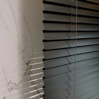 Persianas Enrollables sin Taladro, Instalación Lateral para Sala de Estar, Estilo Moderno, Material Plástico, Tulle Opaco