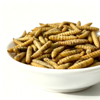 Larves de Mouches Soldat Noires Séchées Riches en Calcium – Protéine d'Insectes pour Volailles, Tilapias, Crevettes, Aquaculture, Reptiles et Suppléments pour Animaux de Compagnie – Vente en Gros