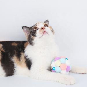 Hot Sale Good Quality <b>Plush</b> Colorful Handmade Interactive Soft <b>Cat</b> Toys Bouncy Ball With Bell - Product Image 2