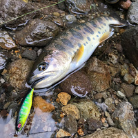 Leurre de pêche 50mm 3.5g pour achigan et poisson mandarin d'eau douce, petit modèle coulant