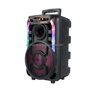 Altavoz CHUANGHONG AVCROWNS CH-831 de <span class=keywords><strong>8</strong></span> Pulgadas, Modelo Privado, Nuevo, Compatible con <span class=keywords><strong>Alexa</strong></span> <span class=keywords><strong>Echo</strong></span> <span class=keywords><strong>Dot</strong></span>, con Bluetooth - Product Image 3