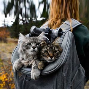 Free Sample Premium <b>Cat</b> <b>Backpacks</b> for Carrying <b>Cats</b> Travel, Hiking Use - Grey Mesh <b>Backpacks</b> for Small, Medium, Large <b>Cats</b> up - Product Image 5
