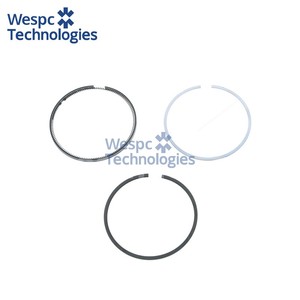 Jeu de segments de piston WESPC 4181A101 pour moteur diesel Perkins série 700 704.26 704.30, machines agricoles, générateurs, engins de construction - Product Image 1