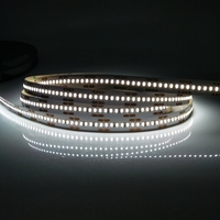 Lumière latérale émettant des lumières colorées SMD3014 de bonne qualité DC24V 8MM Led Strip Lights