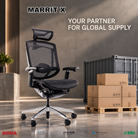 Chaise de bureau ergonomique, fabricant de chaises en alliage d'aluminium avec dossier en maille, accoudoirs 5D, soutien lombaire, GTChair