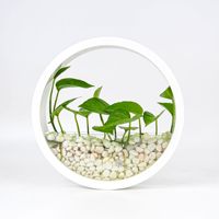 Pot Tanaman Gantung Dinding untuk Sukulen, Hidroponik, Cocok untuk Dalam atau Luar Ruangan, Balkon, Teras, atau Kebun Rumah