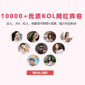 Servicios de Promoción en Xiaohongshu, Agencia de Marketing, Marca IP, Redacción, Optimización de Tráfico - Product Image 5