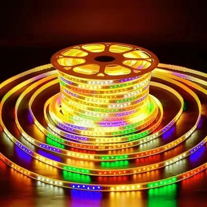 Tira de LED RGB de Neón Flexible Chasing Dream Color, Resistente al Agua para Exteriores IP67, 220V, Sin Necesidad de Controlador, para Letreros, Letras de Canal y Decoración - Product Image 1
