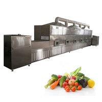 Nieuwe Grote Fruit Plak Kiwi Ananas Droger Leveranciers Sterilisatie En Uitdroging Transportband Magnetron Droogmachine
