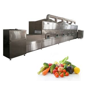 Nieuwe Grote Fruit Plak Kiwi Ananas Droger Leveranciers Sterilisatie En Uitdroging Transportband Magnetron Droogmachine - Product Image 3