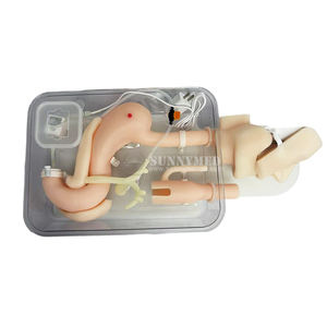 แบบจำลองการผ่าตัดเกี่ยวกับการฝึกอบรมการดำเนินการเกี่ยวกับกระเพาะอาหารสำหรับโรงเรียนฝึกพยาบาลและโรงพยาบาล - Product Image 3