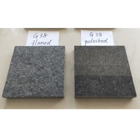 Carreaux de granit noir poli naturel de Chine 60X30X2 CM