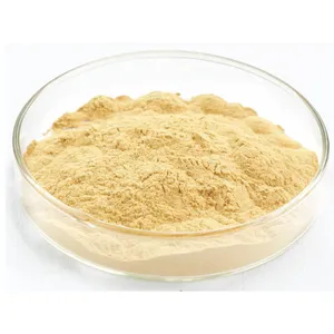 Fermentierte Panax-Ginseng-Wurzel hochwertiges Panax-Ginseng-Extraktpulver aus Nordostchina