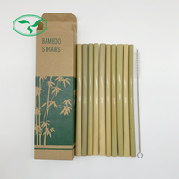 Pailles à boire biodégradables en bambou avec boîte en Kraft, 10 pièces