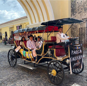 Carruaje de caballos eléctrico para boda, uso turístico, precio bajo, alta calidad, Color personalizado, Batería de 60V 80A - Product Image 4