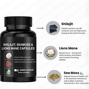 แคปซูลสาหร่ายทะเลสำหรับผู้ใหญ่ ชนิด Lion Mane Shilajit และ Sea Moss บรรจุ 60 เม็ด ช่วยเสริมสร้างภูมิคุ้มกันและบำรุงสุขภาพสมอง - Product Image 4