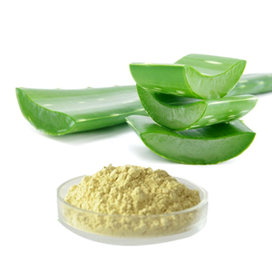 Extracto de Hoja de <span class=keywords><strong>Aloe</strong></span> <span class=keywords><strong>Vera</strong></span> de Grado Alimenticio Ruiwo, Extracto Herbal Extraído con Solvente, Diosgenina, Botella de Vidrio, Probado por <span class=keywords><strong>HPLC</strong></span> - Product Image 6