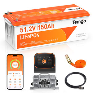 美国库存塑料外壳48V 150Ah LiFePO4电池高尔夫球车锂电池，带液晶显示充电器 - Product Image 1