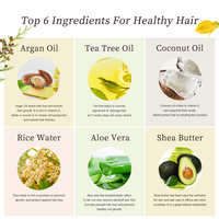 Shampooing Afro Anti-chute et Anti-pelliculaire à l'Huile d'Argan du Maroc, Kératine et Biotine – Kit de Traitement Capillaire Personnalisé à Marque Blanche