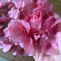 Kelopak Bunga Dekorasi Pernikahan Berkualitas Tinggi Warna Sesuai Pesanan, Daun Besar Kelopak Hydrangea Untuk Konfeti Pernikahan Dekorasi Pesta