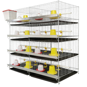 Jaula para pollos, pollitos pequeños, jaula para pollos de engorde, sistema de bebederos, jaulas de alimentación para aves de corral, trampas de acuicultura - Product Image 2