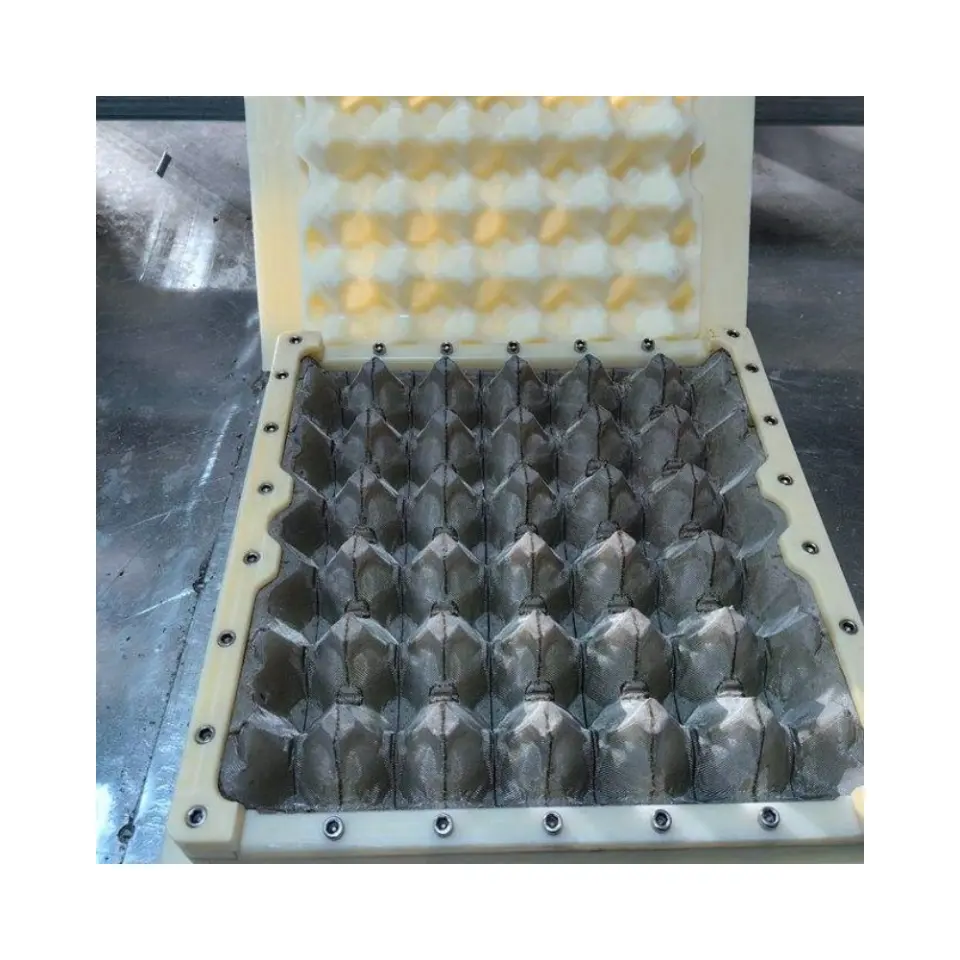 Bandeja de ovos ABS de fábrica profissional/molde de injeção de suporte