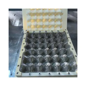 Nampan telur ABS pabrik profesional/cetakan injeksi dukungan
