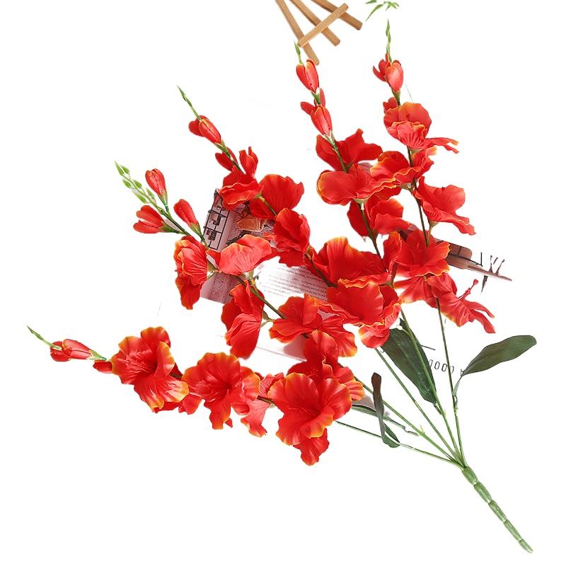 Gladiole simple à 5 fourches rouge orangé