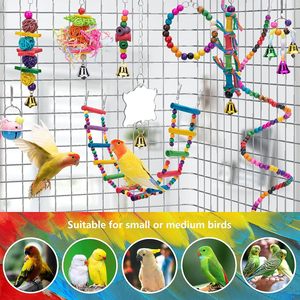 Juguetes ecológicos modernos para loros, columpio para jaula, juguetes para masticar para loros, juguetes educativos para pájaros, set combinado. - Product Image 3