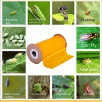 Insectenplakband Fruitboom Lijmval Ongediertebestrijding Dubbelzijdig Geel Vast Vierkant Kleverige Insectenval voor Vliegen Tuin Boerderij