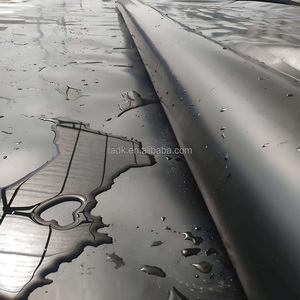 Géomembrane HDPE de 40 mil d'épaisseur et 30 m de longueur pour la couverture des bassins d'élevage de poissons - Product Image 2