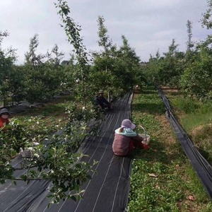 Géotextile PP, type de produit : barrière anti-mauvaises herbes tissée, <span class=keywords><strong>meilleur</strong></span> géotextile, allée en <span class=keywords><strong>gravier</strong></span> - Product Image 6