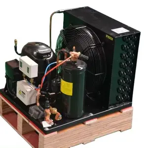 coldroom R404a 1hp 1/2hp walk in cooler freezer mini semi hermetic refrigeration condensing unit with compressor 220v