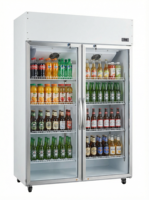 Congélateur vertical à deux portes, vitrine réfrigérée, congélateur profond, refroidisseur de boissons à température unique pour usage en supermarché