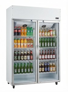 Congelatore Verticale a Doppia Anta con Espositore Refrigerato Monotemperatura per Bevande, per Supermercati - Product Image 2