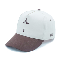 Gorras de Béisbol Deportivas Personalizadas de Alta Calidad con Visera Curva Desgastada, 5 Paneles, Estilo Vintage Bicolor, Logotipo Bordado en 3D y Ajustables para Bebé