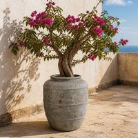Pot de fleurs antique en ciment, en forme d'urne, effet vieilli, avec motif en corde, pots décoratifs pour plantes d'intérieur et d'extérieur, décoration de jardin et de maison
