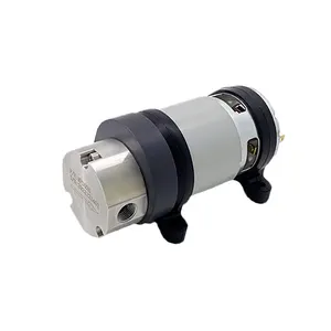 New Arrival Small Volume 2.5L/min Low Pressure PTFE Seal Micro Gear Pump Water Metering Pump With 30W Brush DC 24v Motor