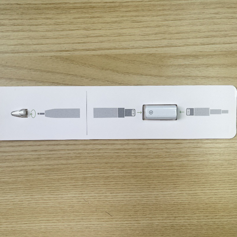 Penna bianca di prima generazione