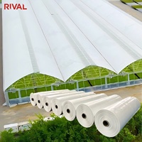 Film de serre en plastique pour tunnel, film agricole anti-buée de haute qualité