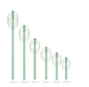 Piquet de tomate Cage à tomates pour pots Porte-<span class=keywords><strong>plante</strong></span> <span class=keywords><strong>Support</strong></span> de <span class=keywords><strong>plante</strong></span> <span class=keywords><strong>grimpante</strong></span> pour légumes - Product Image 6
