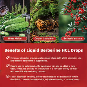 <span class=keywords><strong>Gotas</strong></span> de Berberina Premium - Mezcla Natural de Berberis Aristata, Suplemento Herbal <span class=keywords><strong>para</strong></span> el Bienestar (<span class=keywords><strong>En</strong></span> Stock) - Sin Marca - Product Image 3