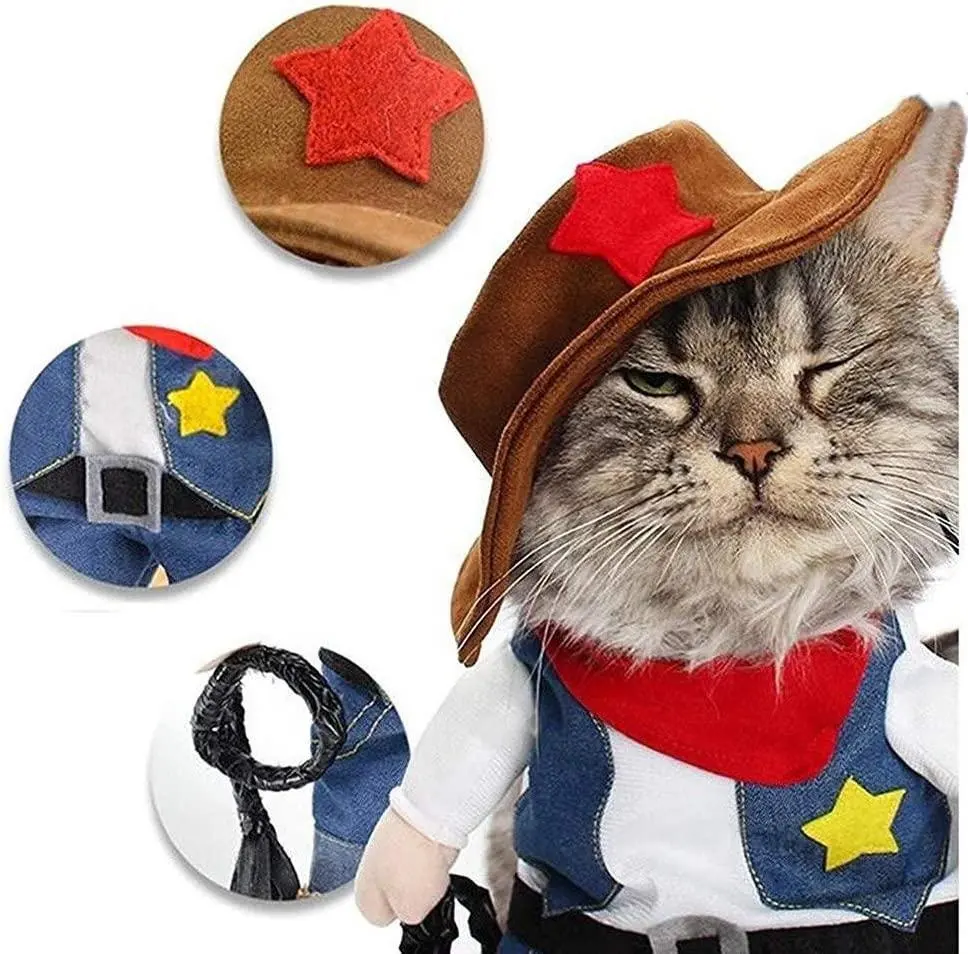 ZYZ PET kedi kostüm yavru giysi gömlek Cosplay kediler için sadece kedi giysileri kıyafet