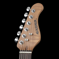 Guitarra Eléctrica de 6 Cuerdas con Diferentes Diseños, Económica y Superventas, con Pastillas S-S-H, Diapasón de Palisandro Indio, para Principiantes y Profesionales