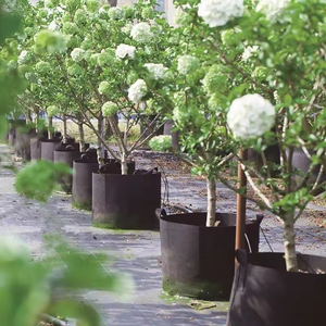 1 2 3 5 7 15 gallon growbag nhà máy Vườn Ươm vải phát triển Túi vải nồi trồng Túi cảm thấy Vải cây giống Vườn Ươm phát triển chậu - Product Image 3