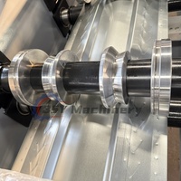 Máquina Automática de Perfilado de Rieles Laterales en C para Puertas Correderas, Controlada por PLC, para Aluminio y PVC, con Motor