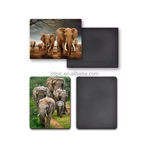 Promotion de l'aimant lenticulaire de réfrigérateur à mouvement 3D personnalisé Animation Pin/Gift/Tag/Card/Stickers/<span class=keywords><strong>Photo</strong></span>/Badge Service d'impression magnétique - Product Image 6